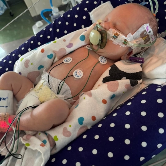 WINNERS IN DESCRIPTION - Picture 8 of 11